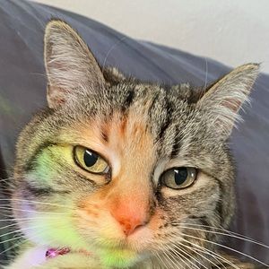 Meet your Posher, Genevieve